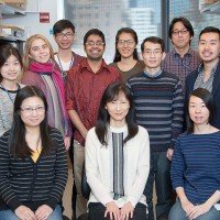 The Cheng Lab