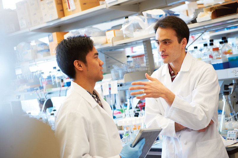 Two researchers talking in the laboratory