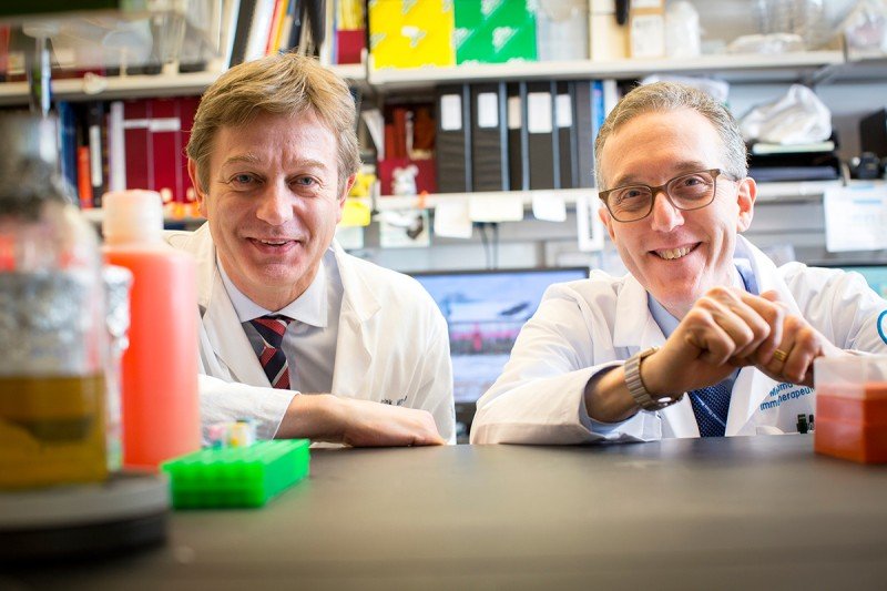 Cancer immunologists Marchel van den Brink & Jedd Wolchok